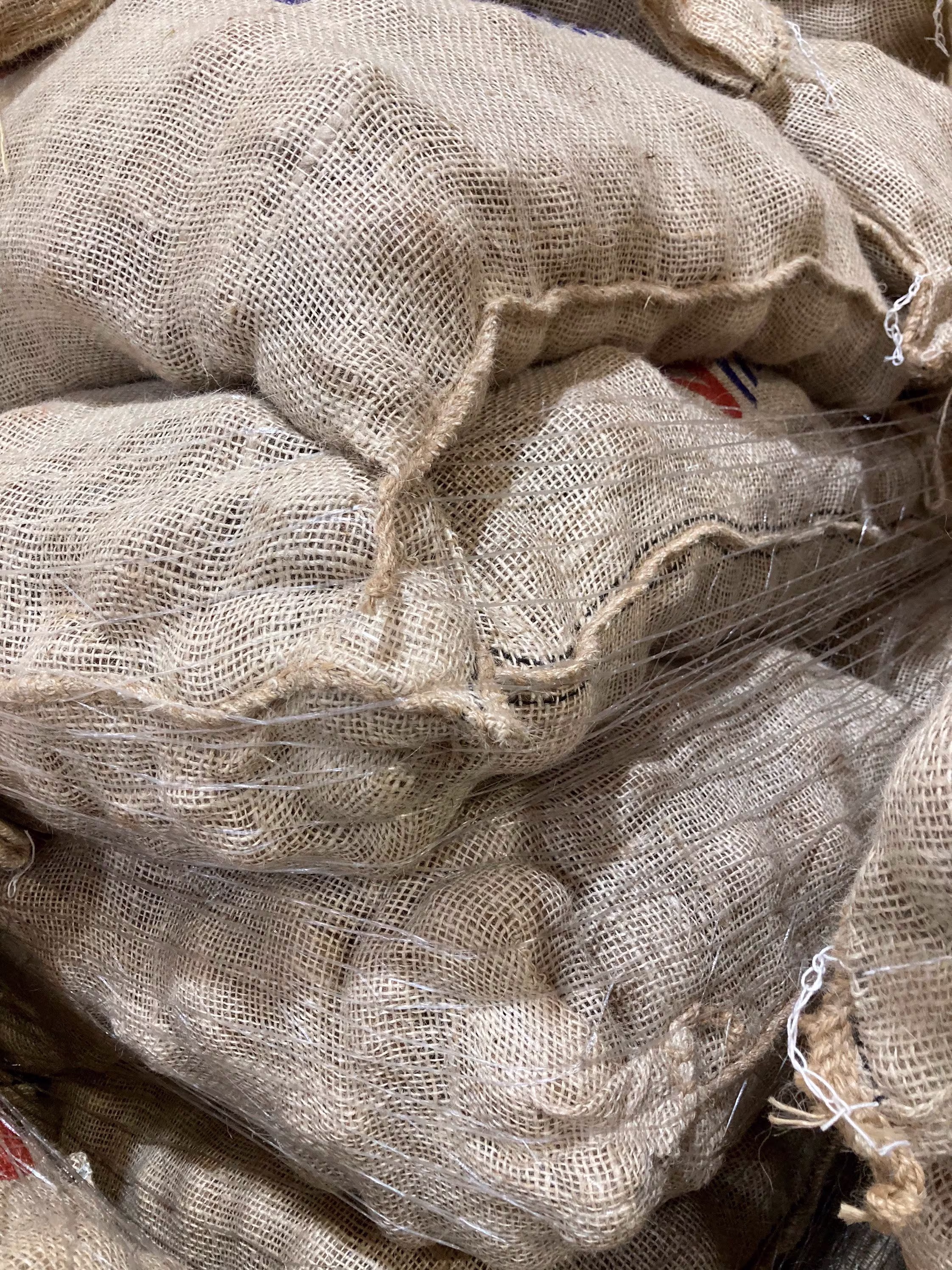Seed Potatoes To Grow Your Own | Free UK Postage