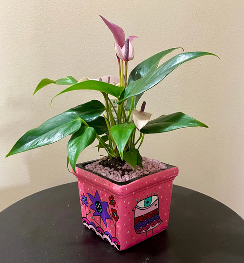 Pink Plant Pot - Bird Planter "Lady Robin