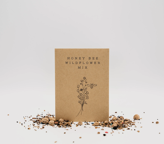 Pollinator Wildflower Mix Seeds - Bee & Butterfly Food