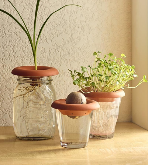 Set Of Three Terracotta Seed Sprouters
