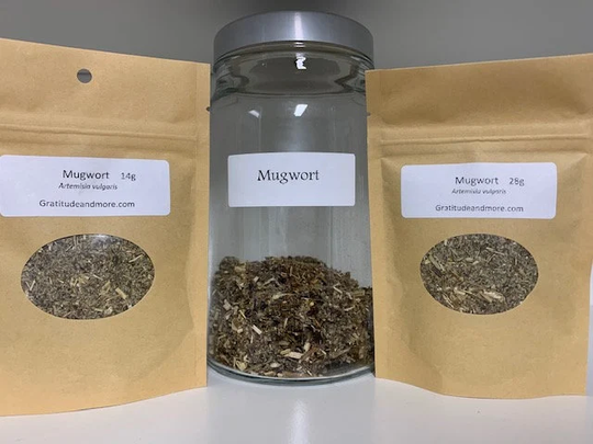 Mugwort Herb, Herbal, Natural, Tea, Botanical, Wildcrafted