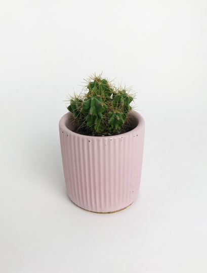 Small Pink Concrete Pot