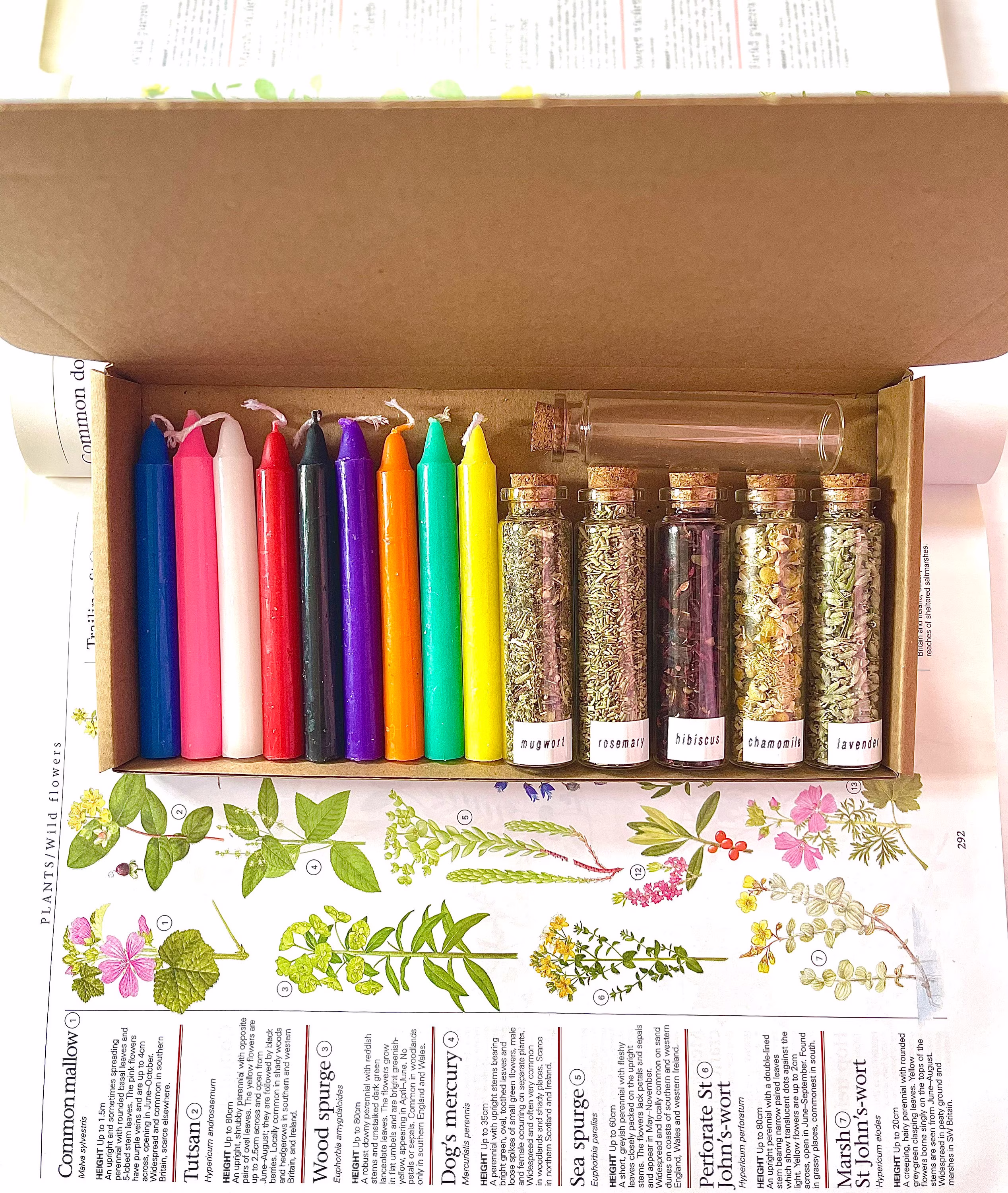 Mini Green Witch Starter Kit - Beginner Supplies ~~ Witchcraft