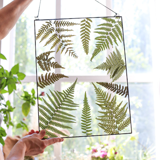 Dried Fern Plant in Stained Glass Frame, Pressed Leaves Wall Hanging, Rectangle Floating Botanical Art, Herbarium Decor
