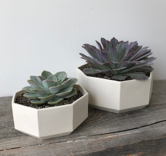 Octagon Succulent Planter, Ceramic Porcelain Modern Tabletop Small Large White Planter Set