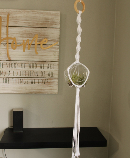 Hanging Glass Terrarium - Large