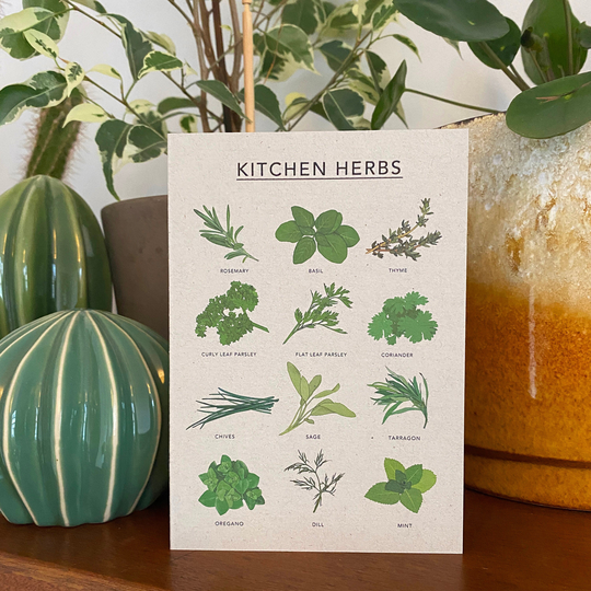 Kitchen Herbs Illustrated Recycled Card