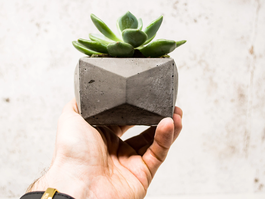 Minimal Concrete Plant Pot || Succulent Planter Indoor Cactus Gift Housewarming Air Holder