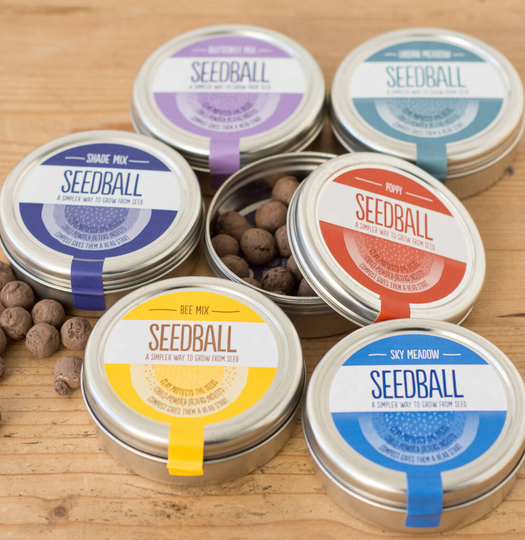 Wildflower Seeds Six Mixes Set