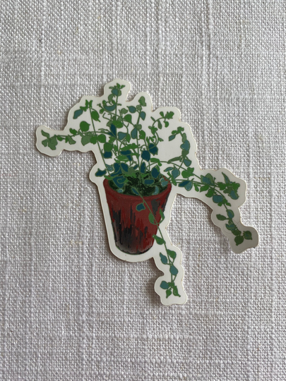Plant Sticker ~ Waterproof Herb Matte Vinyl Decal Oregano in A Terracotta Pot
