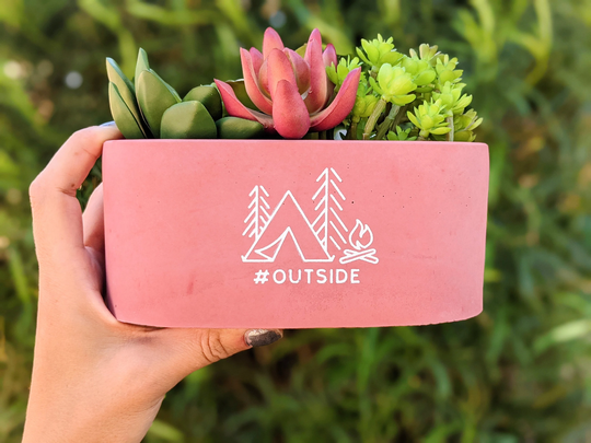 Cactus Planter Or Succulent Concrete Planter, Indoor Outdoor Modern Unique Planters For Garden