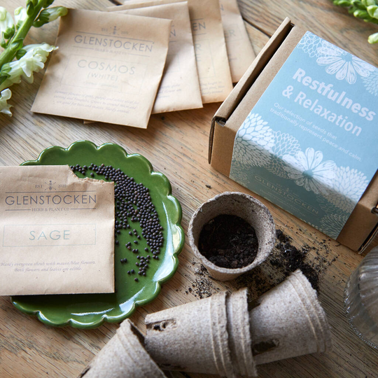 Reflective Moods Seed Collection Restfulness