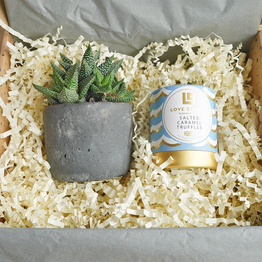 Plant & Salted Caramel Truffles Gift For Men | Gifts Gift Him Baby Boy Thank You Haworthia Corporate