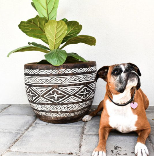 Handmade Christian Carved Pot, Hand Carved, Timber Decor, Table, Homewares, Home Plant Pot