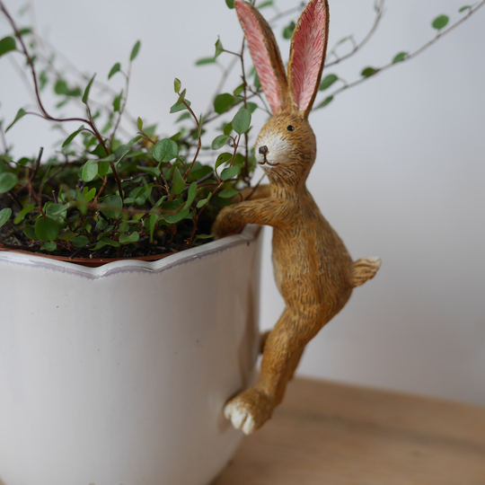 Pot Hanging Rabbit 14cm, Decoration, Plant Lover Gift