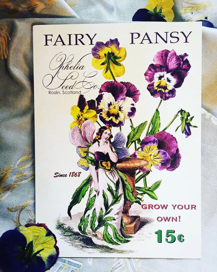 Fairy Pansy, Ophelia Seed Co. 5x7 Keepsake Single Panel Card With V-Flap Envelopes Set Of 8 Cards