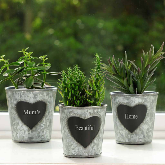 Set Of Three Personalised Herb Planters