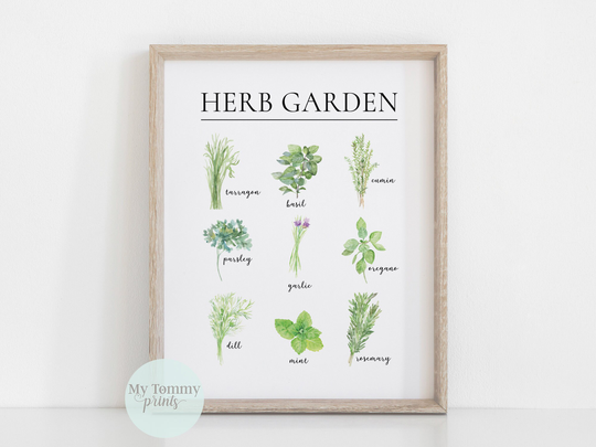 Herb Garden Print, Home Decor, Collection Of Culinary Herbs