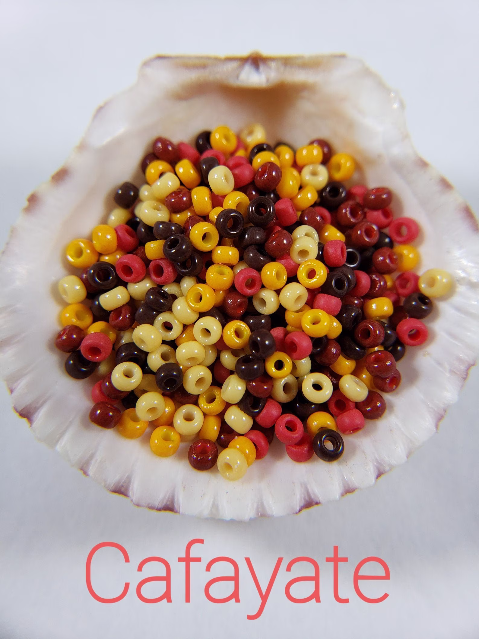 Cafayate ~ 11/0 Miyuki Glass Seed Beads in House Special Blend 12.5 Gram Tube