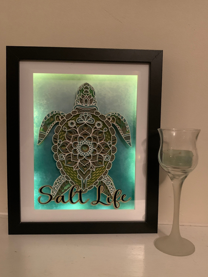 Green Sea Turtle, Beach Life, Salt Decorative Shadow Box Shadowboxframe, Great Gift Beautifully Unique Home Decor