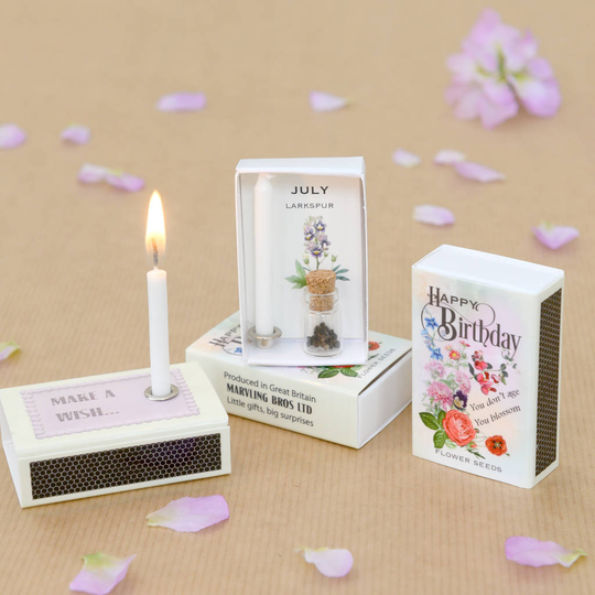 July Birth Flower Larkspur Seeds And Birthday Candle