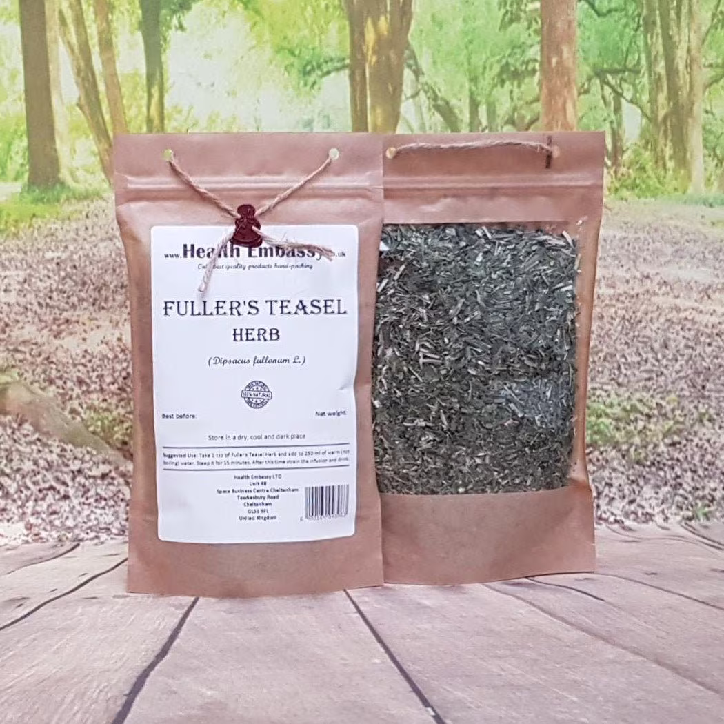 Fuller's Teasel Herb | Dipsacus Fullonum L. - Herba Health Embassy