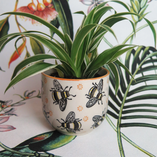 Miniature Bumble Bee Indoor Or Outdoor Exotic House Plant Flower Pot - Home Decor Planter