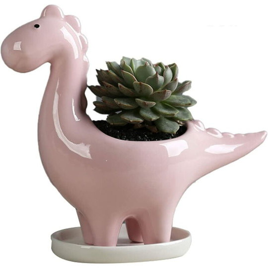 Ceramic Succulent Plant Pot - Creative Cactus - Decorative Flower Pot For Home, Office - Pink