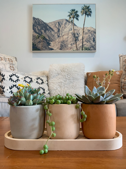 Concrete Plant Pot | Desert Planter Abstract House Plants Minimalistic Boho Pot Cactus