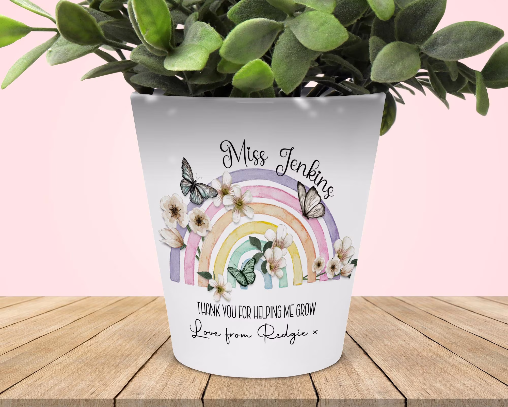 Teacher Plant Pot, Flower Pot For Teachers, Teacher's Gifts, Personalised Butterfly Rainbow Pot, Gift Teachers