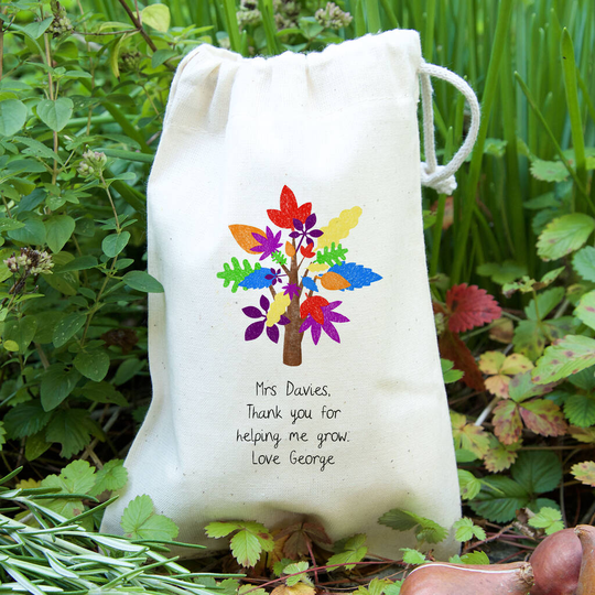 Rainbow Tree Teacher Gift Bag With Seeds