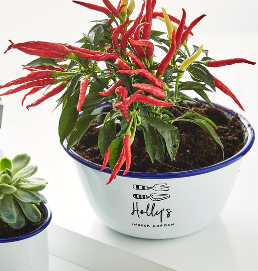 Personalised Indoor Garden Planter