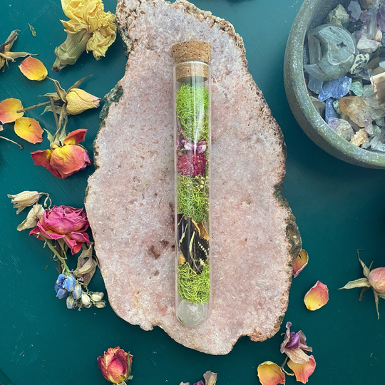 Real Butterfly Wing in Glass Jar With Crystals & Dried Moss