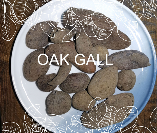Whole Oak Gall, Dried Herb Wood Chips , Eco Dye, Plant Natural Dye Ingredient, Material, Tannin, Mordant