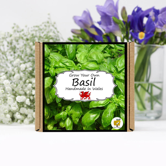 Grow Your Own Herbs Kit / Basil