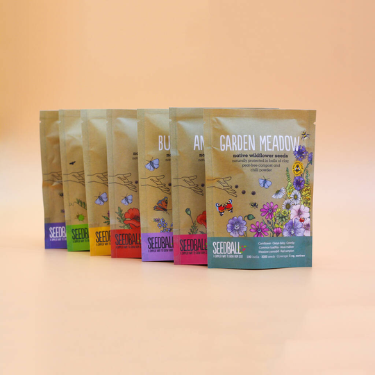 Wild Flower Seed Scatter Packets 100 Balls