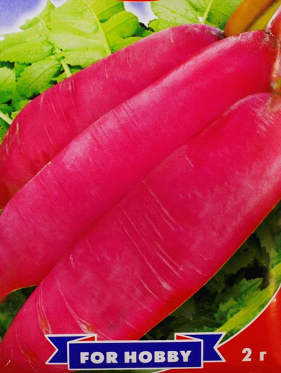 Radish Seeds Daikon Chinese Pink
