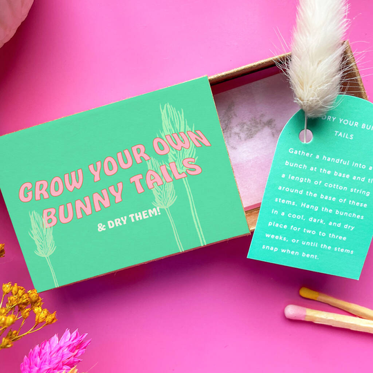 Grow And Dry Your Own Bunny Tails Bunch