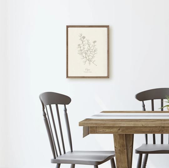 Oregano Botanical Herb, Neutral Minimalist Line Drawing, Wall Art Print