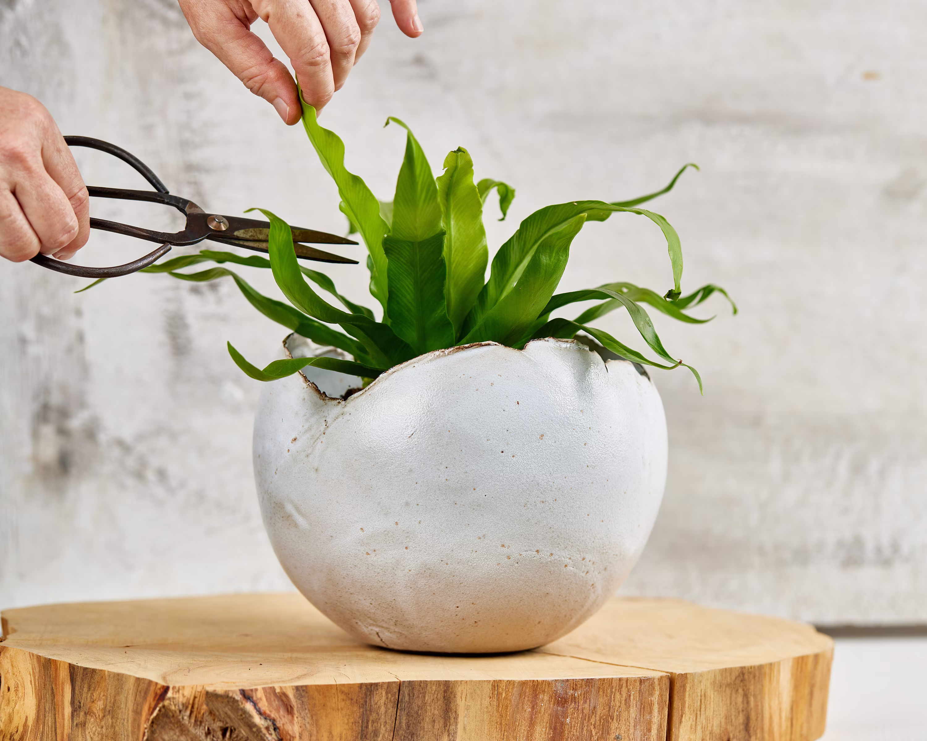 Large White Shiny Handmade Ceramic Planter, Succulent Indoor Entrance Vase, Modern Pottery Round Planter Pot