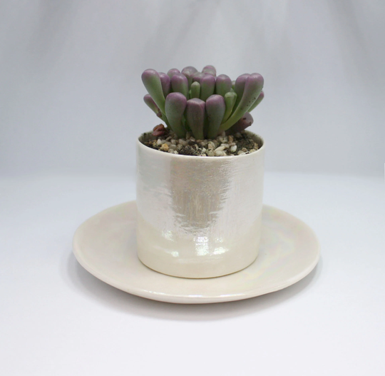 Ceramic Plant Pot, Succulent Planter, Flower Pots Christmas Gifts For Gardener, Air Holder Lovers Gift