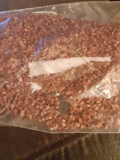 Kashmir Cypress Tree Seeds