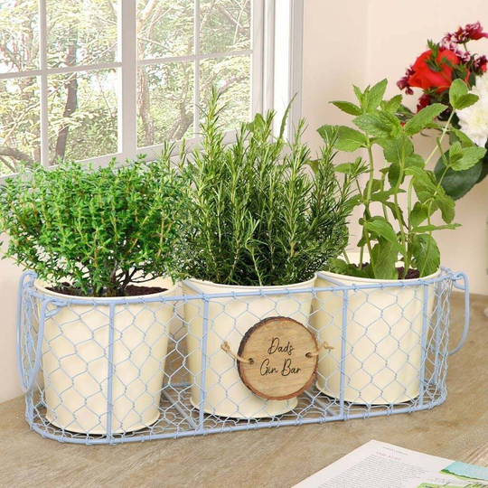 Personalised Home Grown Gin Herbs Planter Set