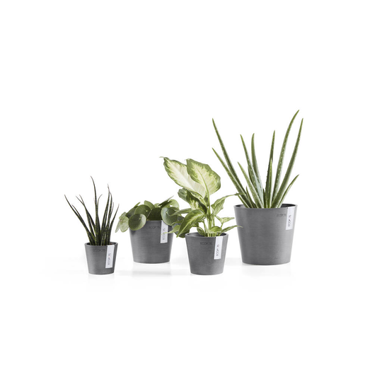 Ecopots Amsterdam Minipots Made From Recycled Plastic