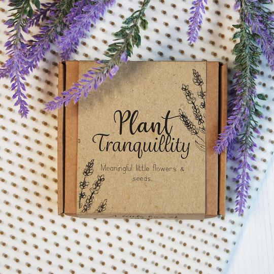 'Life Doesn't Always Grow To Plan' Letterbox Gift