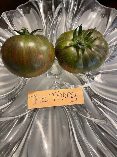 The Thong Dwarf Heirloom Tomato Seeds