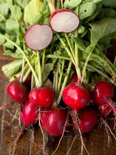 Radish Seeds, Cherry Belle - Bright Red Globe Shaped, Tangy & Crisp, Excellent in Salads; Fast Flat Rate Shipping