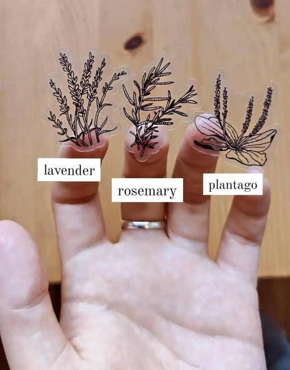 Herb Sticker Set. Lavender, Rosemary, Plantain. Plant Lady, Green Witch Herb. Magic Transparent Sticker. Cottagecore. Planner Accessories