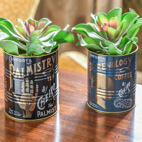 Set Of Two Palmistry / Phrenology Tins