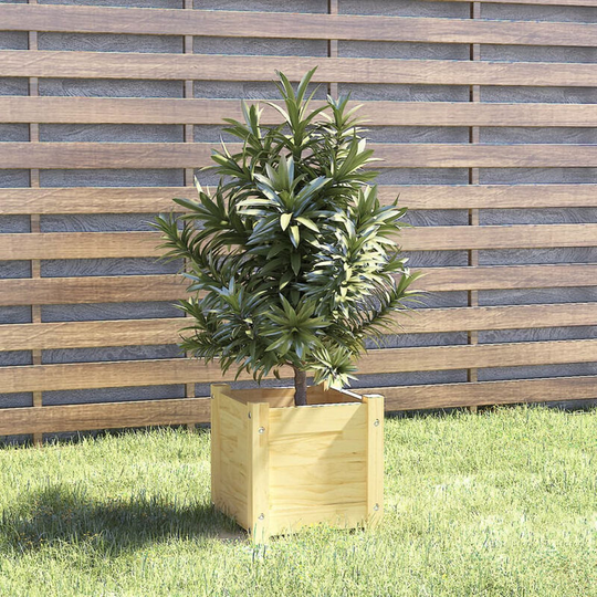Asupermall - Garden Planter 31x31x31 cm Solid Pinewood